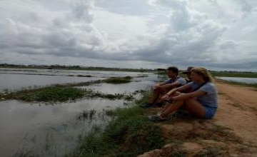 bullfrog Cambodia